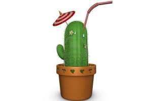 Imagen ilustrativa del artículo Jugo de Cactus, un Poderoso Antinflamatorio Natural